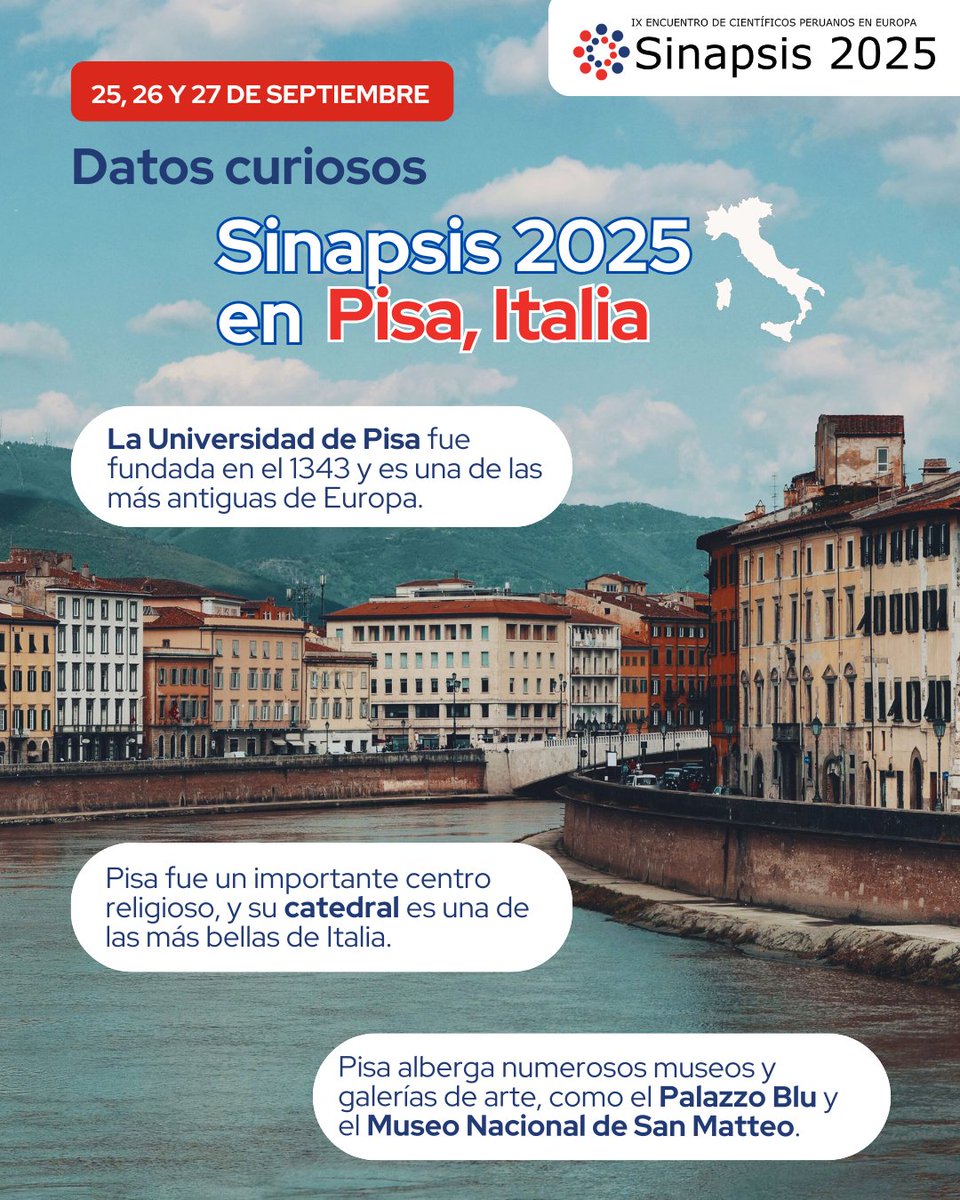 Sinapsis tweet media