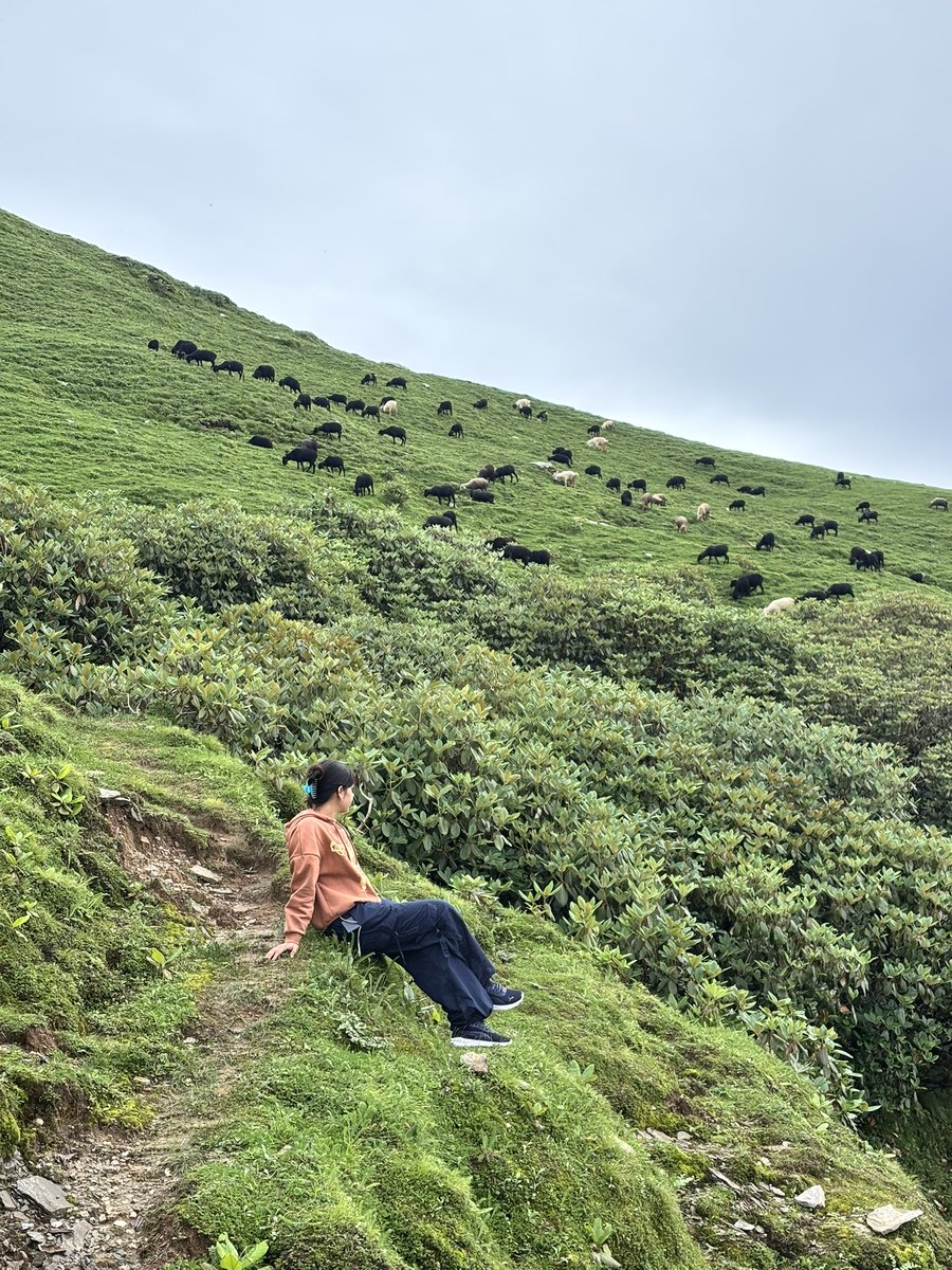 itisakshi's tweet photo. What I mean when I say - “I can’t wait to have everyone over later” 🐾🐮⛰️ https://t.co/JSzxu6ruta