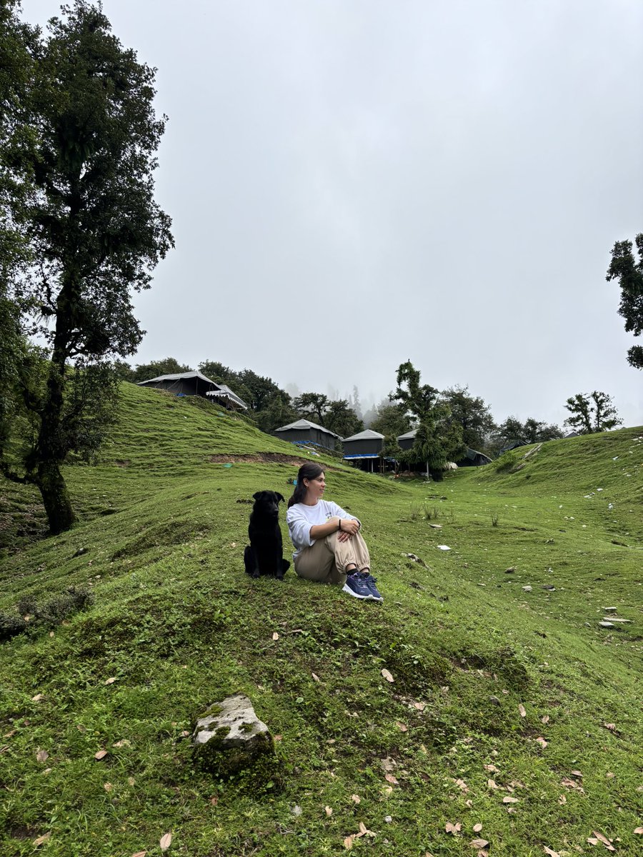 itisakshi's tweet photo. What I mean when I say - “I can’t wait to have everyone over later” 🐾🐮⛰️ https://t.co/JSzxu6ruta