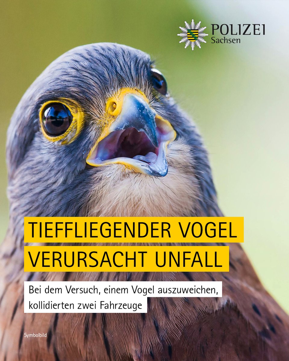 Als das vor ihm fahrende Auto einem größeren Vogel auswich, musste der dahinter befindliche Kia-Fahrer stark abbremsen. Ein wiederum Dahinterfahrender konnte nicht mehr ausreichend bremsen und fuhr auf.

Aktuelle Meldungen der Polizeidirektion #Zwickau: medienservice.sachsen.de/medien/news/10…