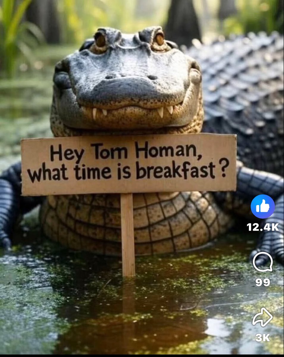 Breakfast is served…