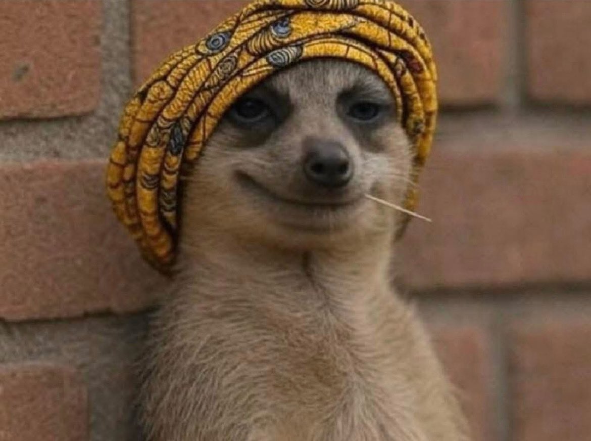 BorisGouma's tweet photo. Ta maman qui te regarde porter ta dernière sape , en sachant très bien qu’elle va te dire de ne pas sortir 😂 https://t.co/COJm6bXyZK