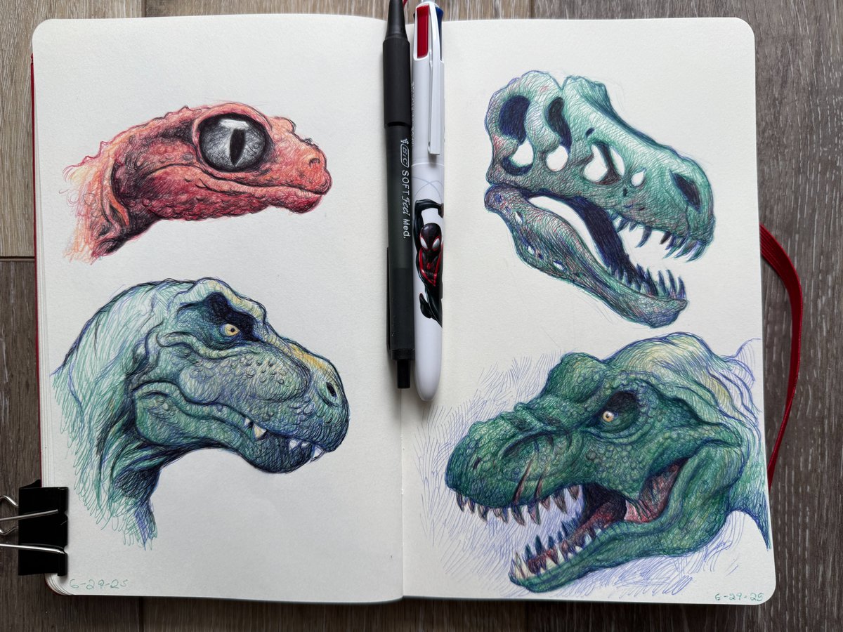 Dave Mottram tweet media