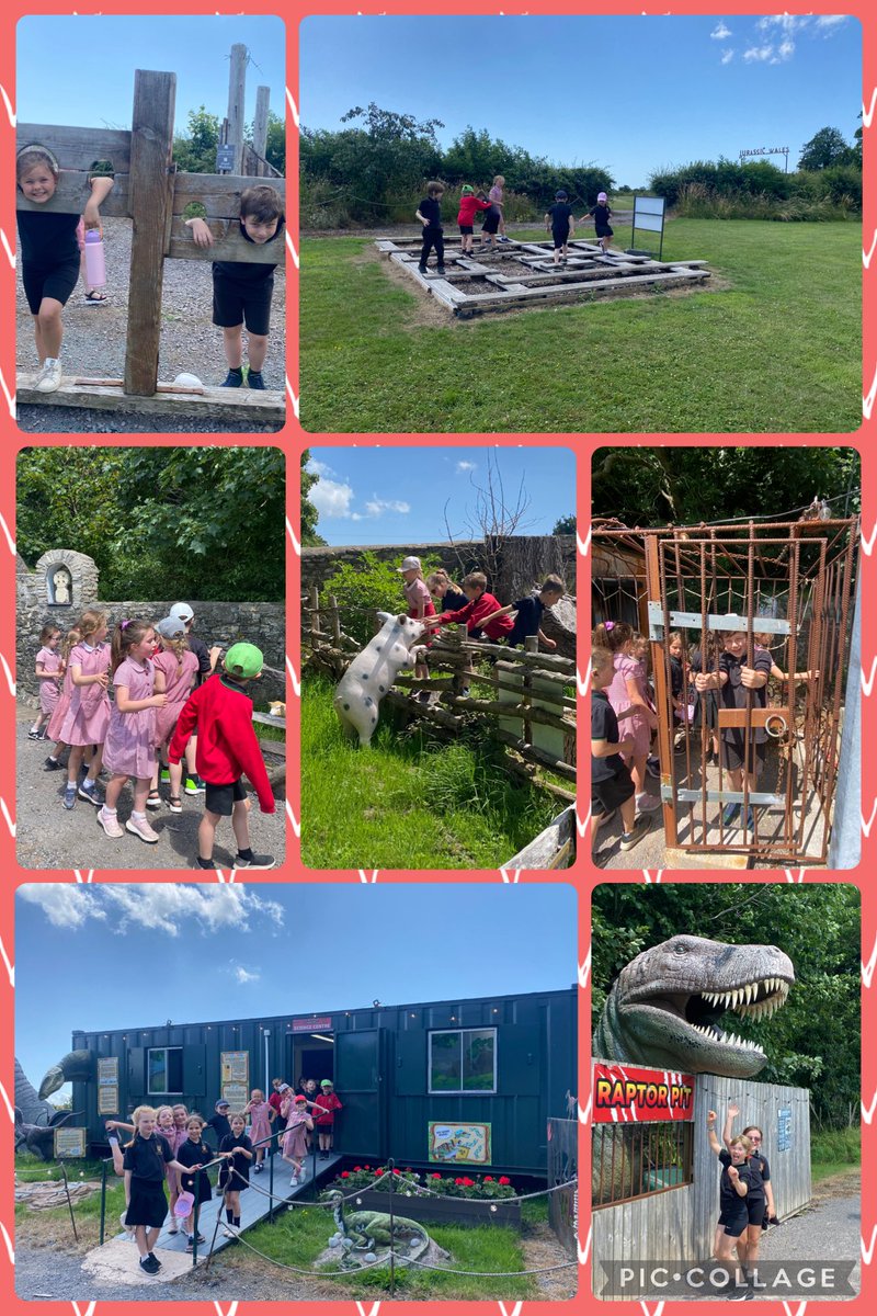 Dosbarth Tylluan tweet media