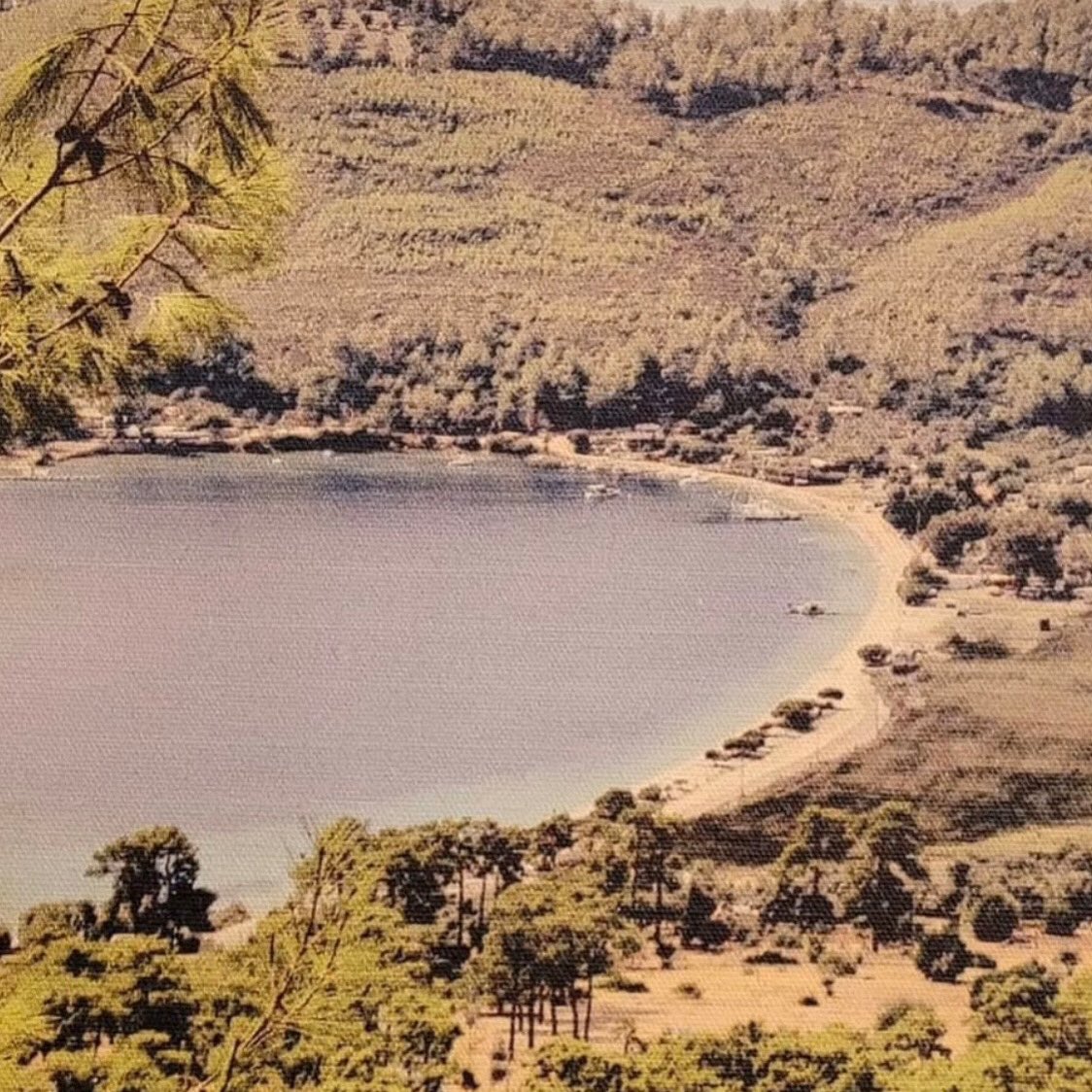 BİRAZ DA NOSTALJİ….
Çok değil sadece 22 yıl önce….
El değmemiş, bakir ve tertemiz bir koymuş #Akbük, fotoğraf insanoğlu olarak çevremize nasıl zarar verdiğimizin apaçık bir örneği sanki….
Yazık…….