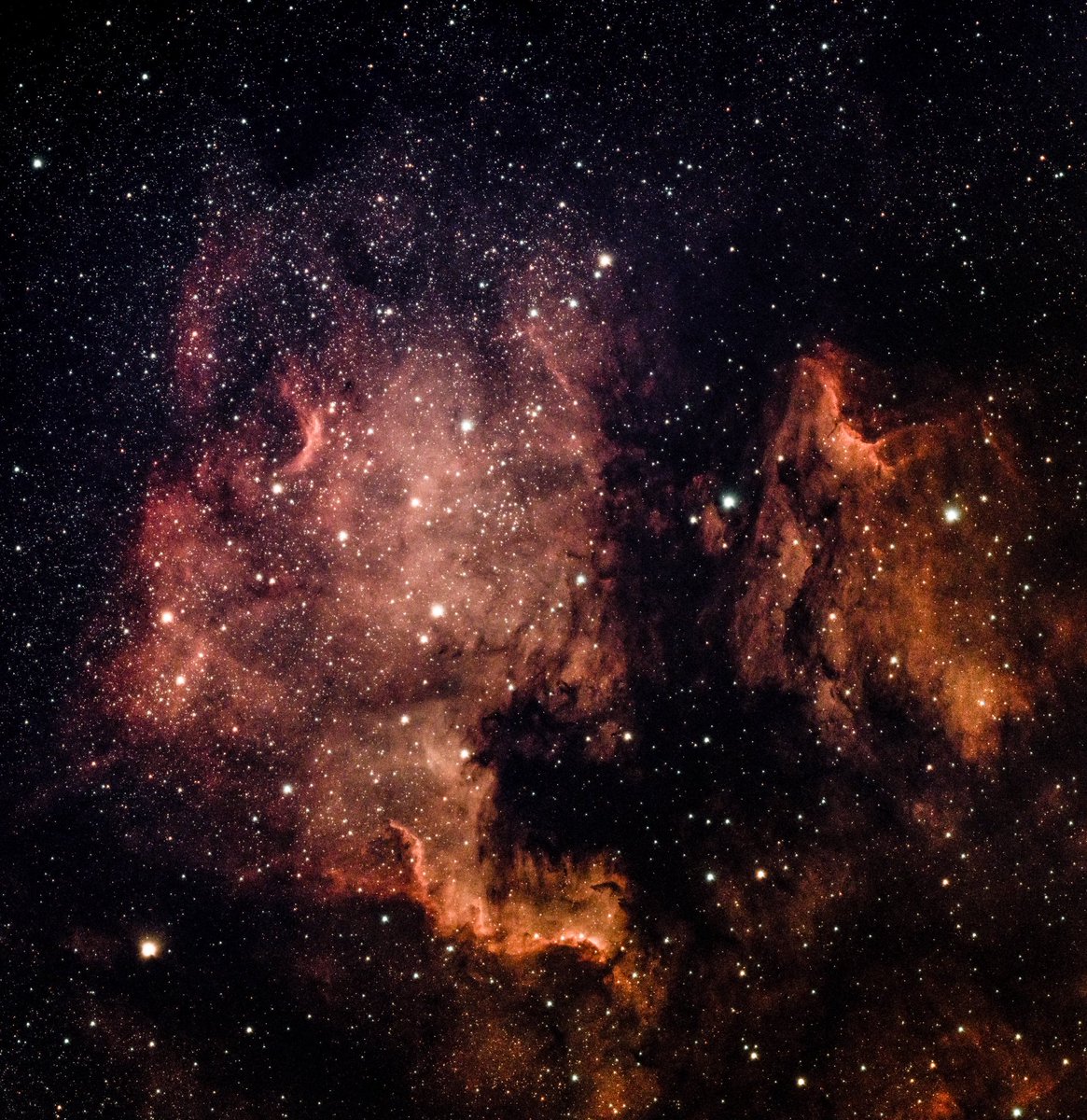 AbstractARTnath's tweet photo. My little smart telescope (Vespera-pro by Vaonis) wasn’t alone to capture NGC7000 (America Nebula) 😄😃📷 🌌
It’s the brut NON edited yet photo directly from the telescope
@inherin 🌼🌻❤️
#결혼하는남자 #missinglove #TheMarryingMan #NGC7000 #vesperacommunity #vaonis #vesperapro https://t.co/MraiXQCP85