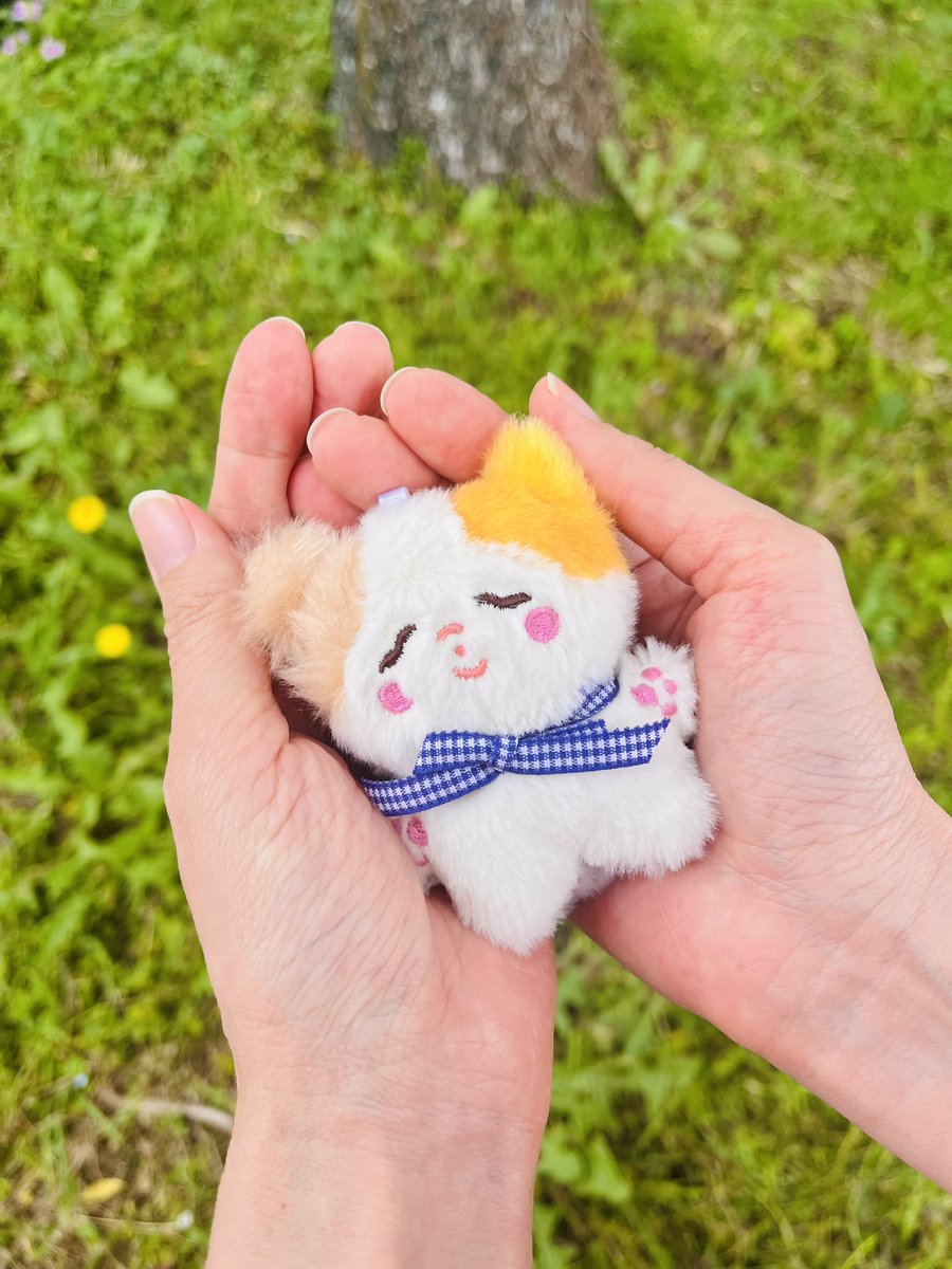 akari໒꒱ tweet media