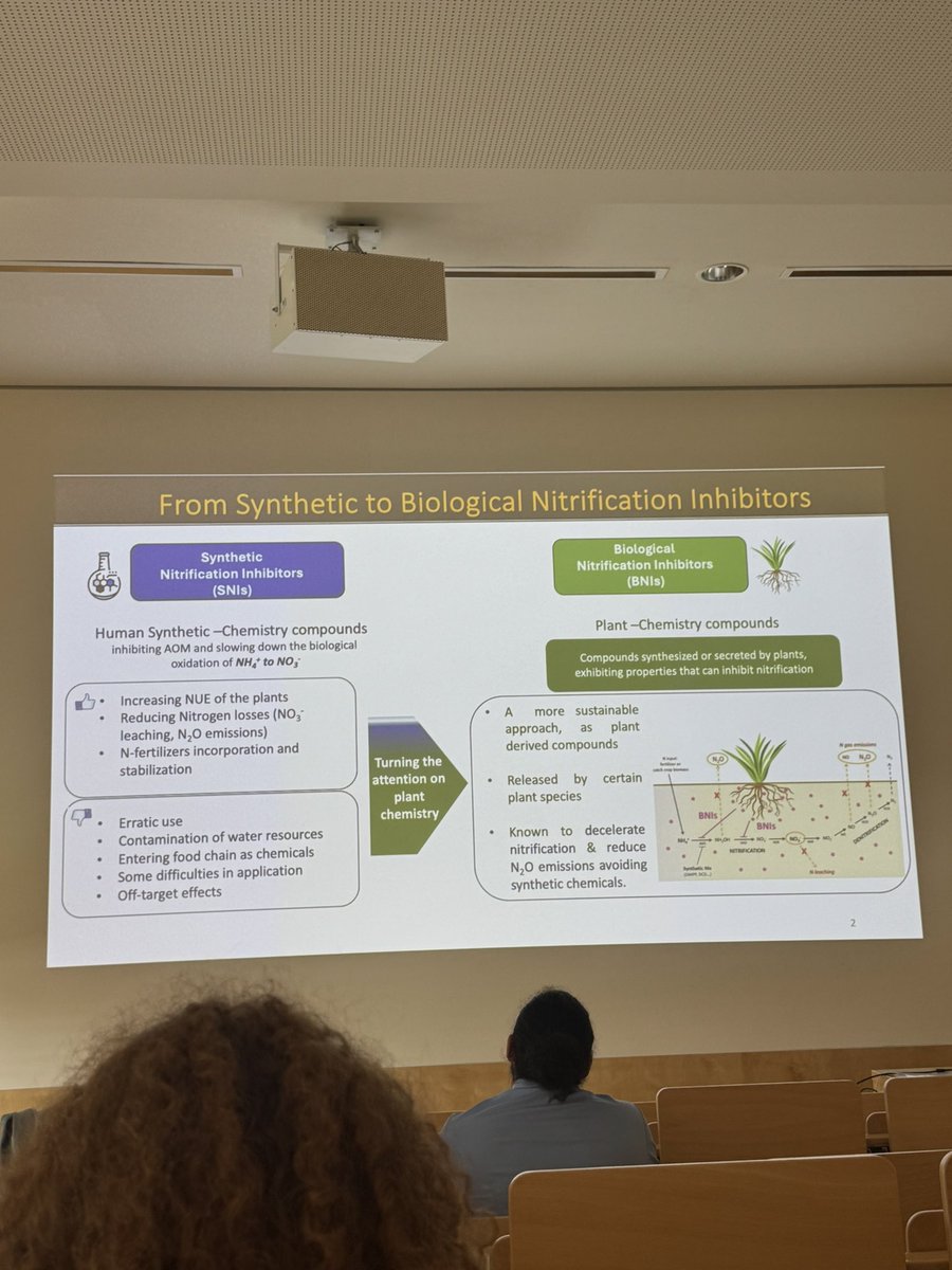 Xia Zhu-Barker (@xiazhubarker) on Twitter photo ICoN9 at Bremen, Germany. Many fascinating talks and amazing people. Learned a lot about new AOA and AOB and denitrifiers. Do you know broadleaf plantain can produce biological nitrification inhibitor to reduce nitrification and N2O production? Loads of new science! ICoN9 at Bremen, Germany. Many fascinating talks and amazing people. Learned a lot about new AOA and AOB and denitrifiers. Do you know broadleaf plantain can produce biological nitrification inhibitor to reduce nitrification and N2O production? Loads of new science!