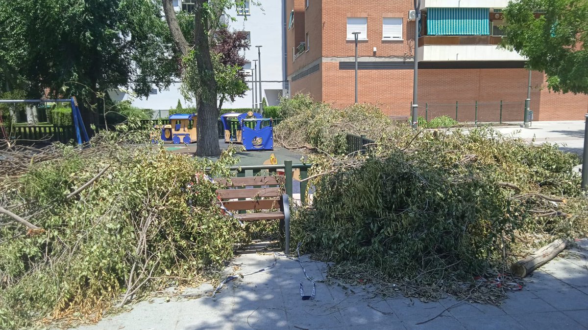 David Muñoz 🇪🇸🏳️‍🌈 tweet media