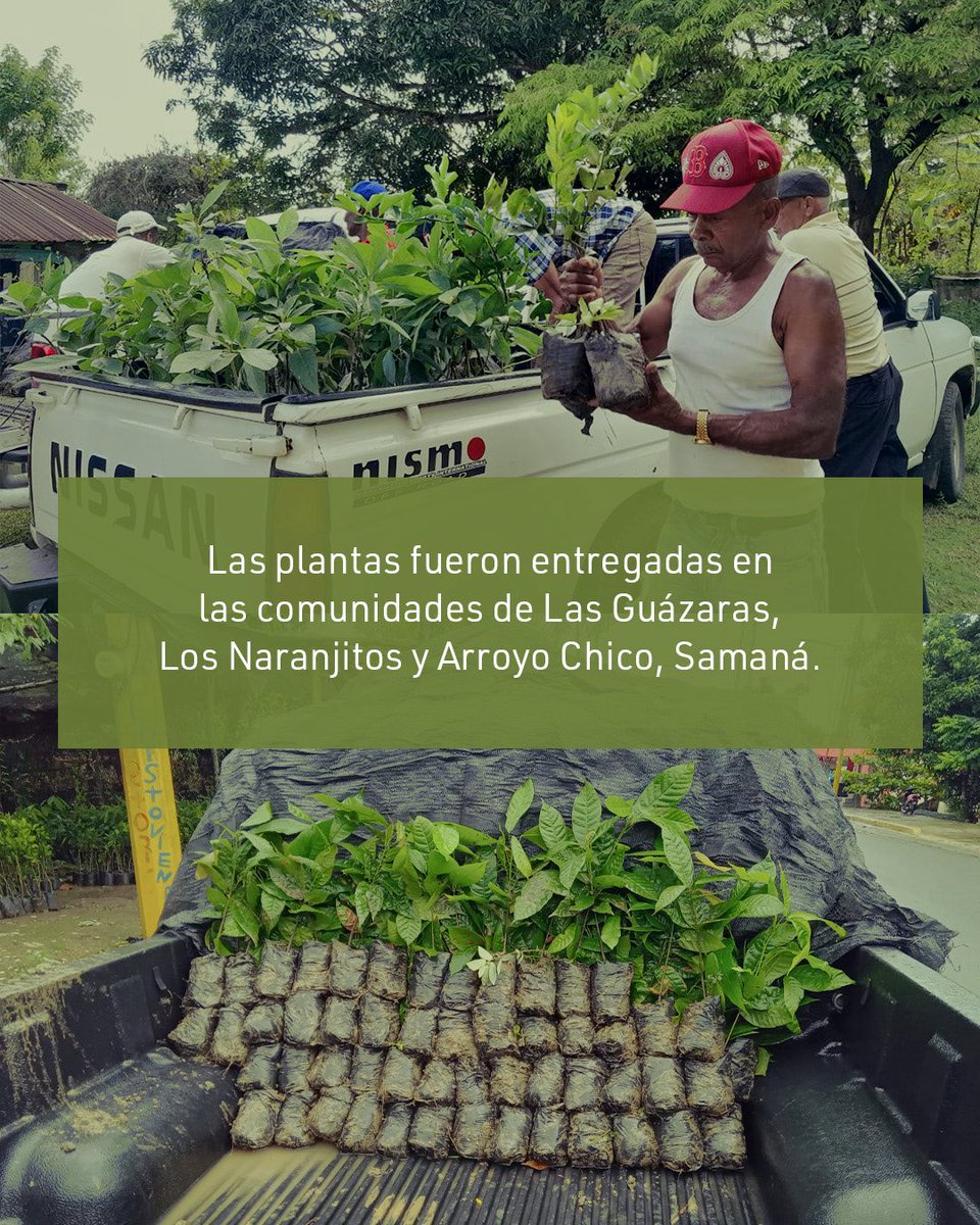 Fundación Sur Futuro tweet media