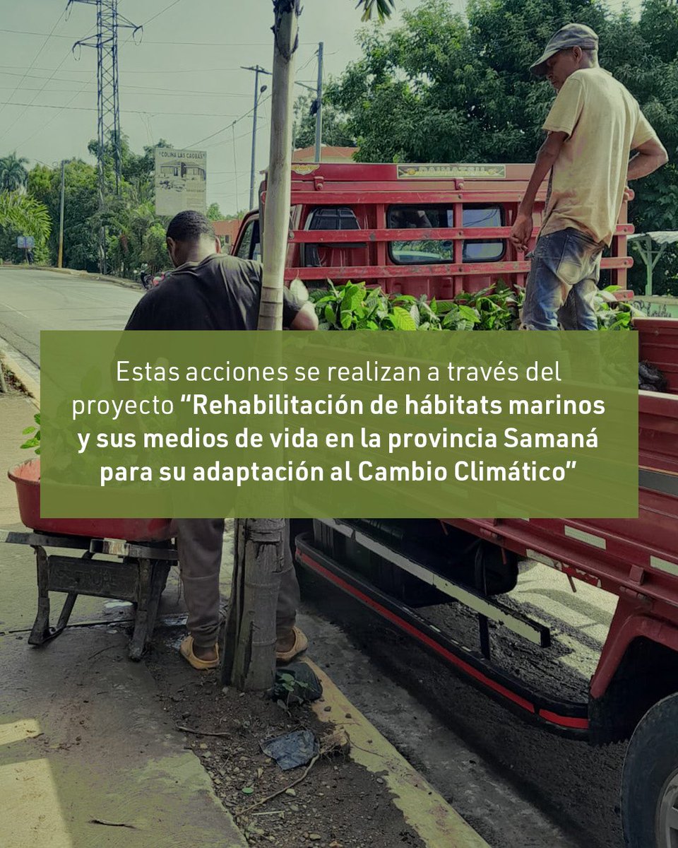 Esta entrega de plantas beneficia a productores que implementan medidas de Adaptación Basada en Ecosistemas (AbE), como parte del proyecto "Rehabilitación de hábitats marinos y sus medios de vida en la provincia Samaná para su adaptación al Cambio Climático".
