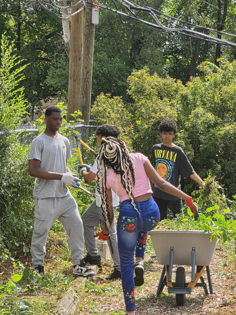 findingjusticeg's tweet photo. Finding Justice a Flower and Vegetable Garden https://t.co/PeFsQTJKbJ