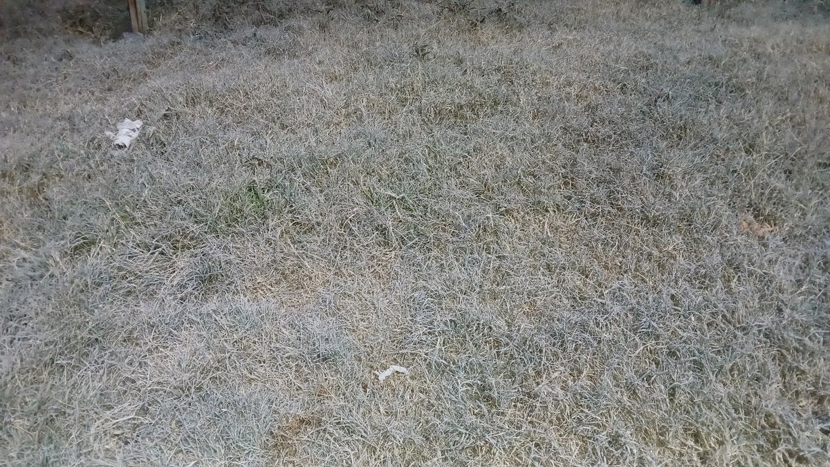 -4°C Concepción del Uruguay (Entre Rios) hoy miercoles <a href="/SMN_Argentina/">SMN Argentina</a>