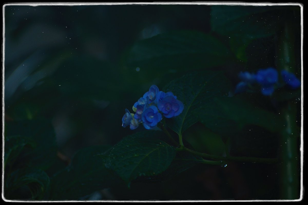 Shuichi Machimoto 町本修一。 (@machimoto19801) on Twitter photo 