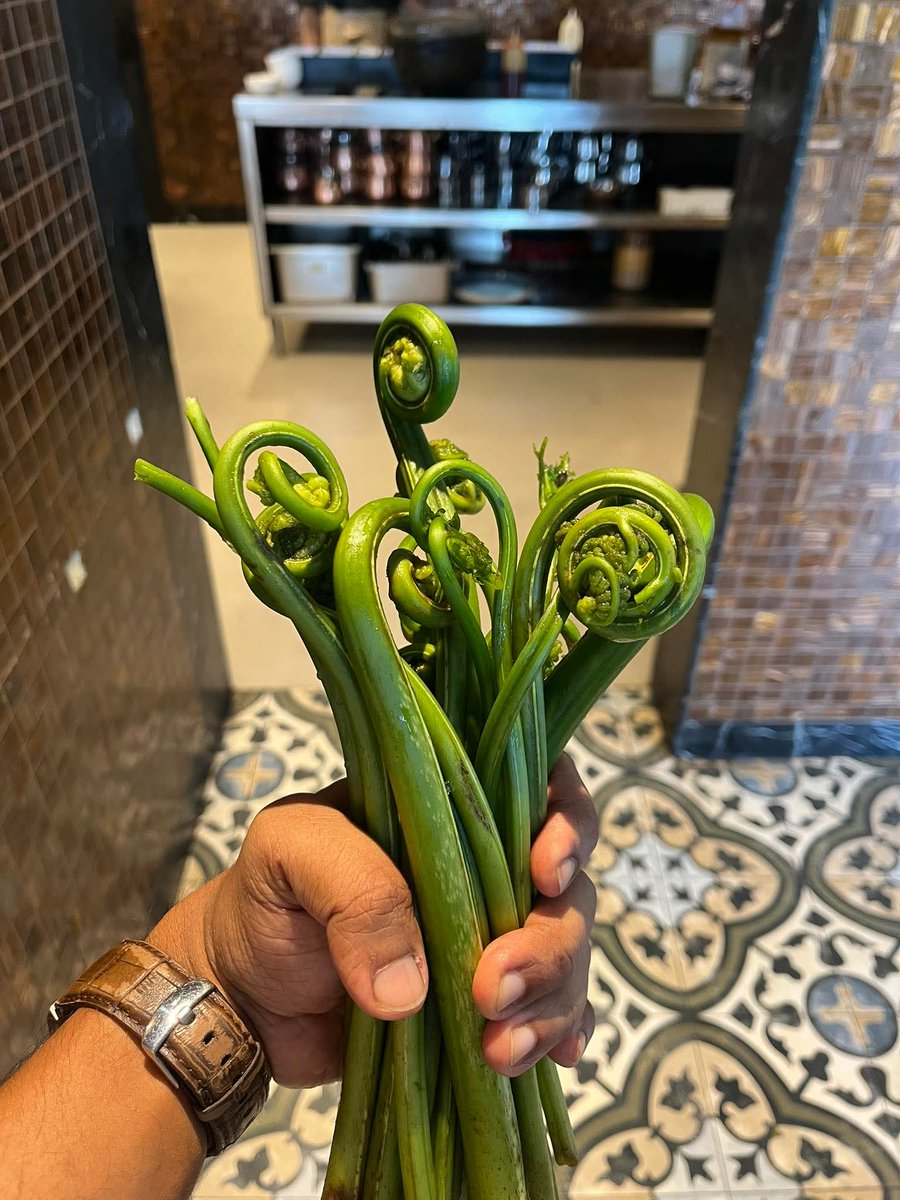 whealthyEchoes's tweet photo. What the name of this vegetable? https://t.co/MmNskmG3rS