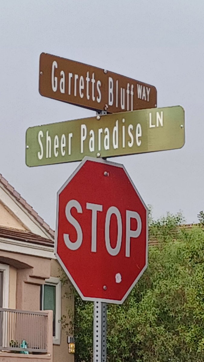 ThePokerKaren's tweet photo. Shout-out to Las Vegas!
For immortalizing the famed #Jack4 Scandal!
By naming an intersection specifically for @RobbiJadeLew and @GmanPoker !!! https://t.co/2sRGd5iyDD