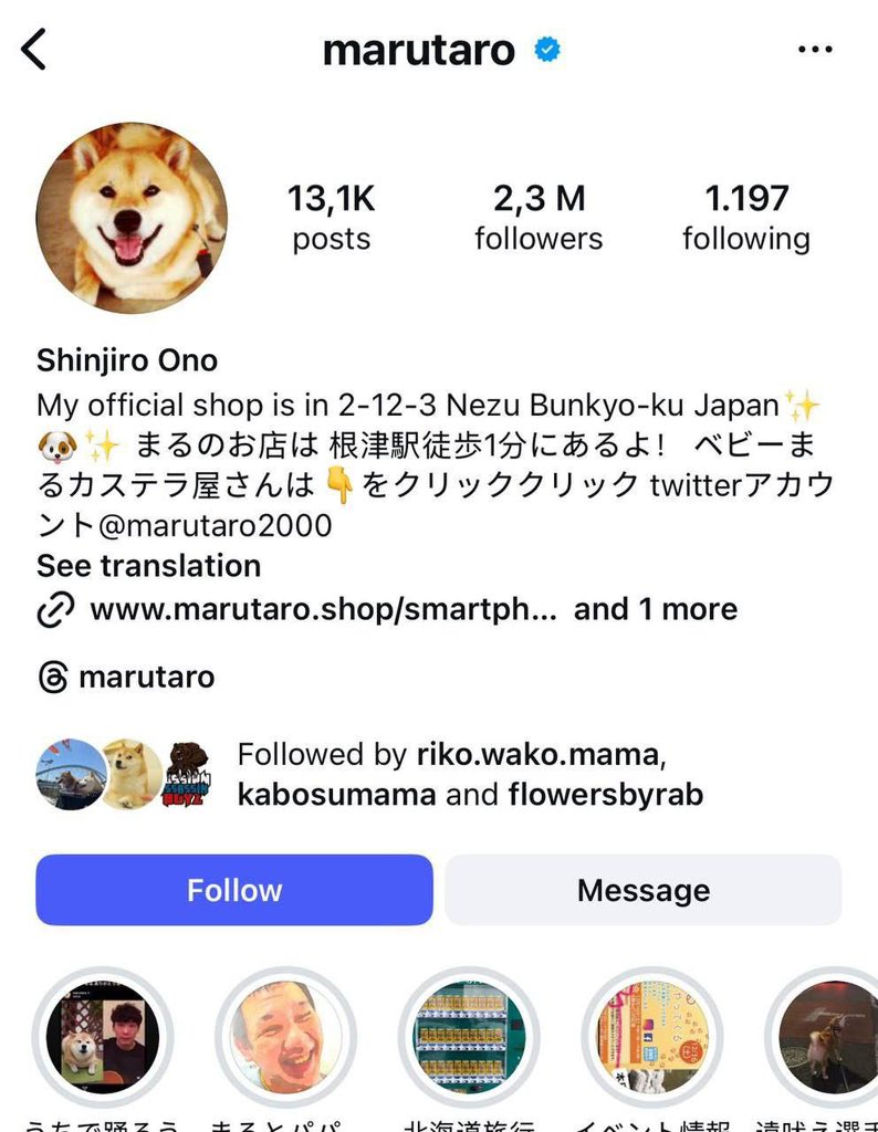 MaruInushiba's tweet photo. @kabosumama followed the marutaro Instagram account today 👀 https://t.co/J8Mls0mUE9