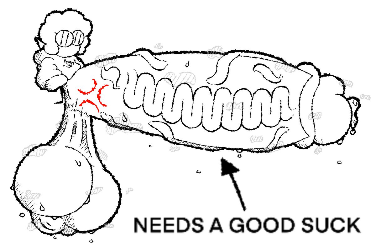 I know that my persona isn’t really all that interesting or anything and that this is probably a stupid post but I’d really appreciate it if he got some fan art :>