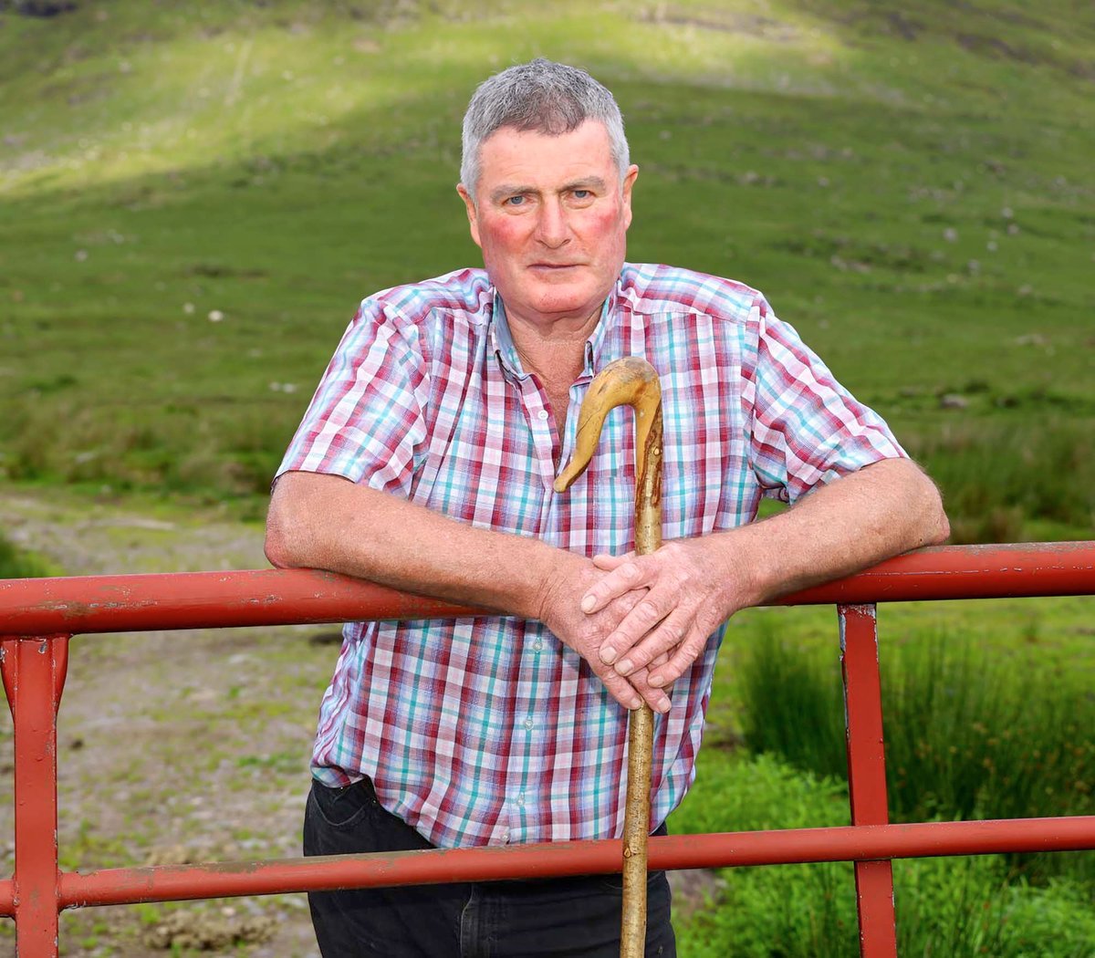 Pavarotti, Paul McCartney, and now Ewe 2? When a top music producer overheard a South Kerry farmer John Egan singing to his sheep, he just knew there was sweet music to be made.
Read the full story in this week’s Kerry’s Eye