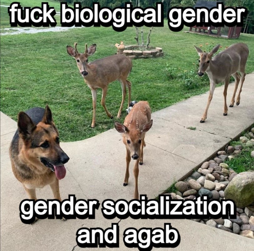 deertexting's tweet photo. https://t.co/bHkdeN5yLC