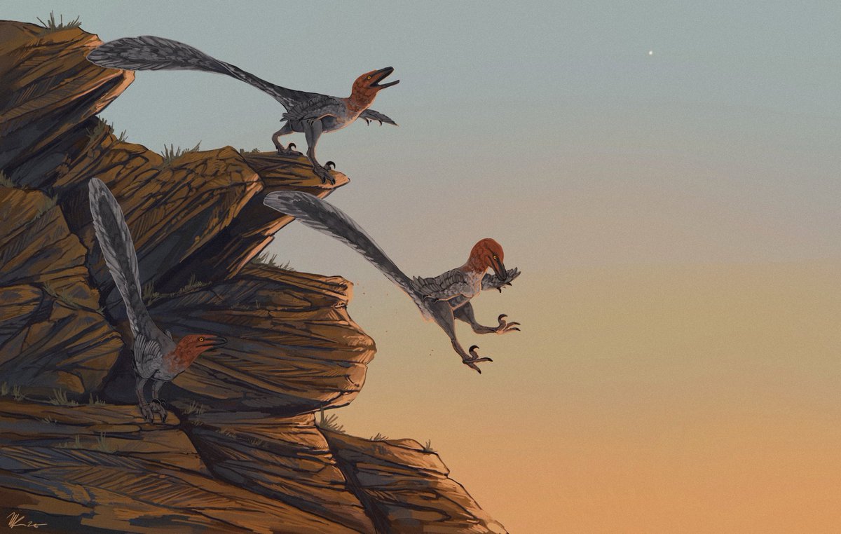 paleobug's tweet image. Some Late Cretaceous dromaeosaurs hop down an outcrop. An unusually bright “star” looms above the horizon.