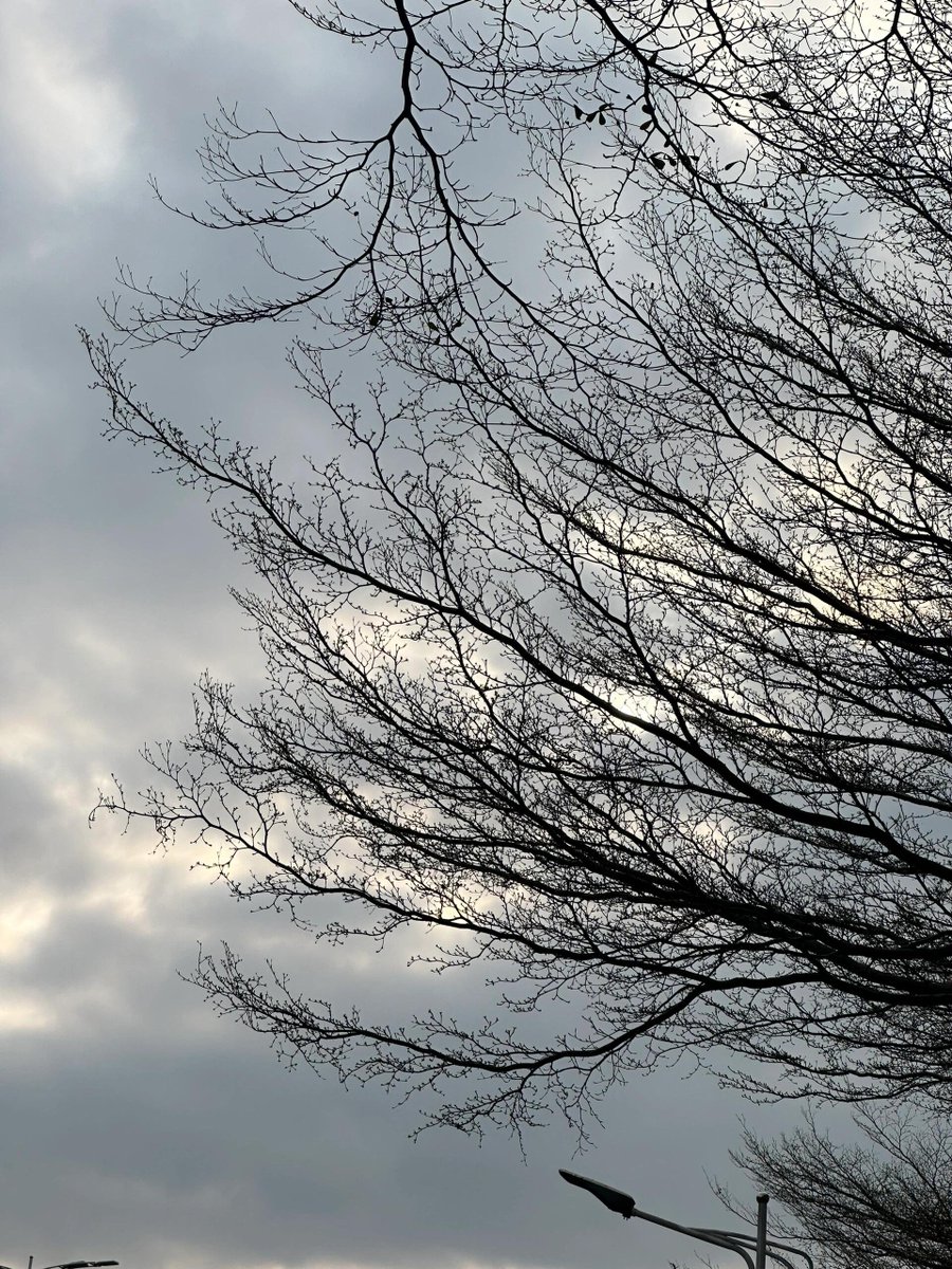 A cloudy day means the sun is still loading.
Just be patient, good things are coming soon ☁️🌞✨