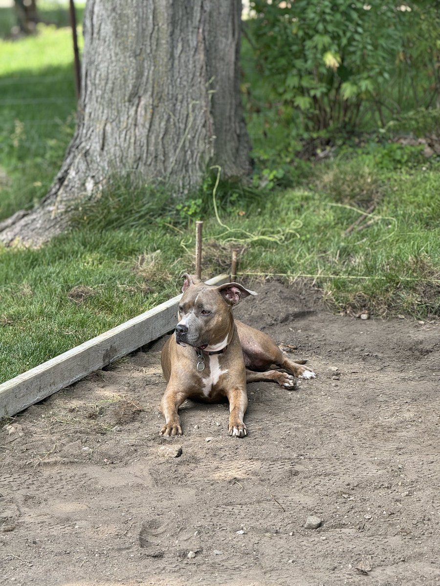She’s enjoying the new porch before it’s built