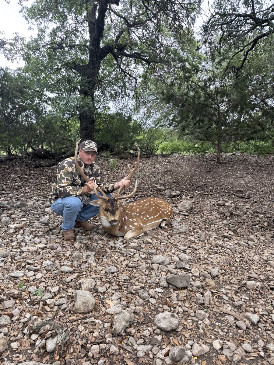 Commando cock tweet media