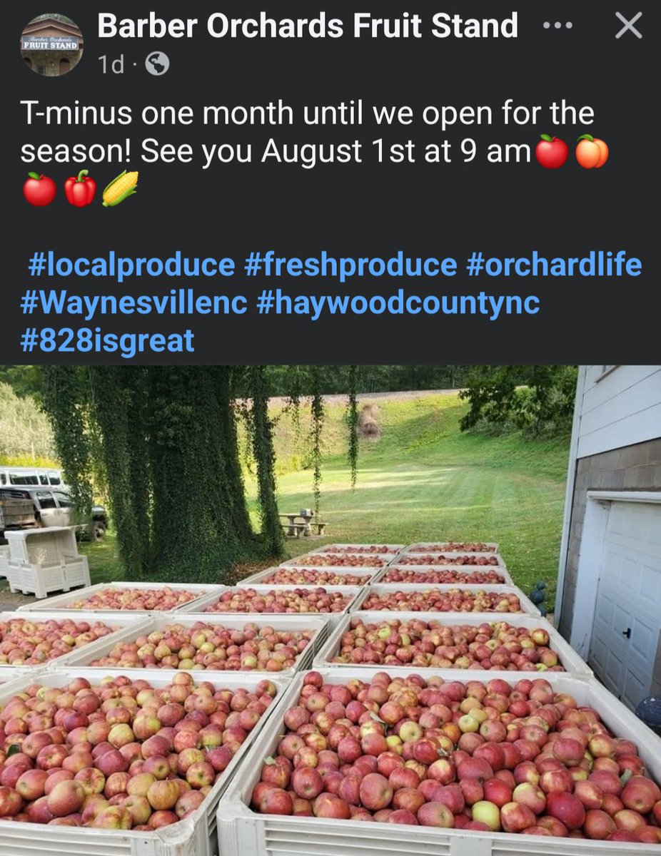 parkwaycolors's tweet image. everyone is waiting on fall colors to arrive, but don't forget apples come before the color change
๐ ๐ฟ ๐ ๐ชพ