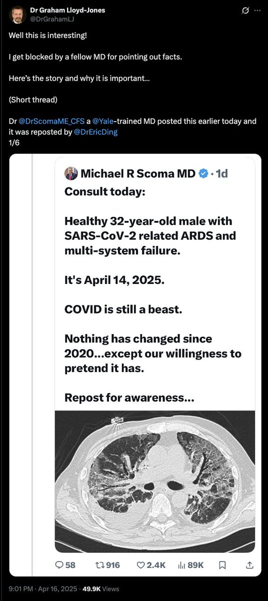 Alba ࿐ tweet media