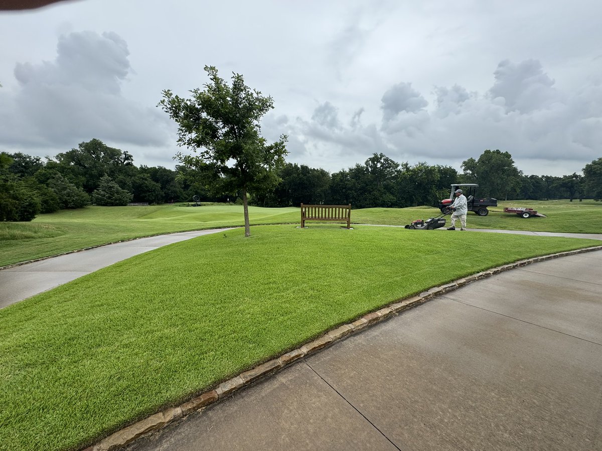 Cody Elwood tweet media