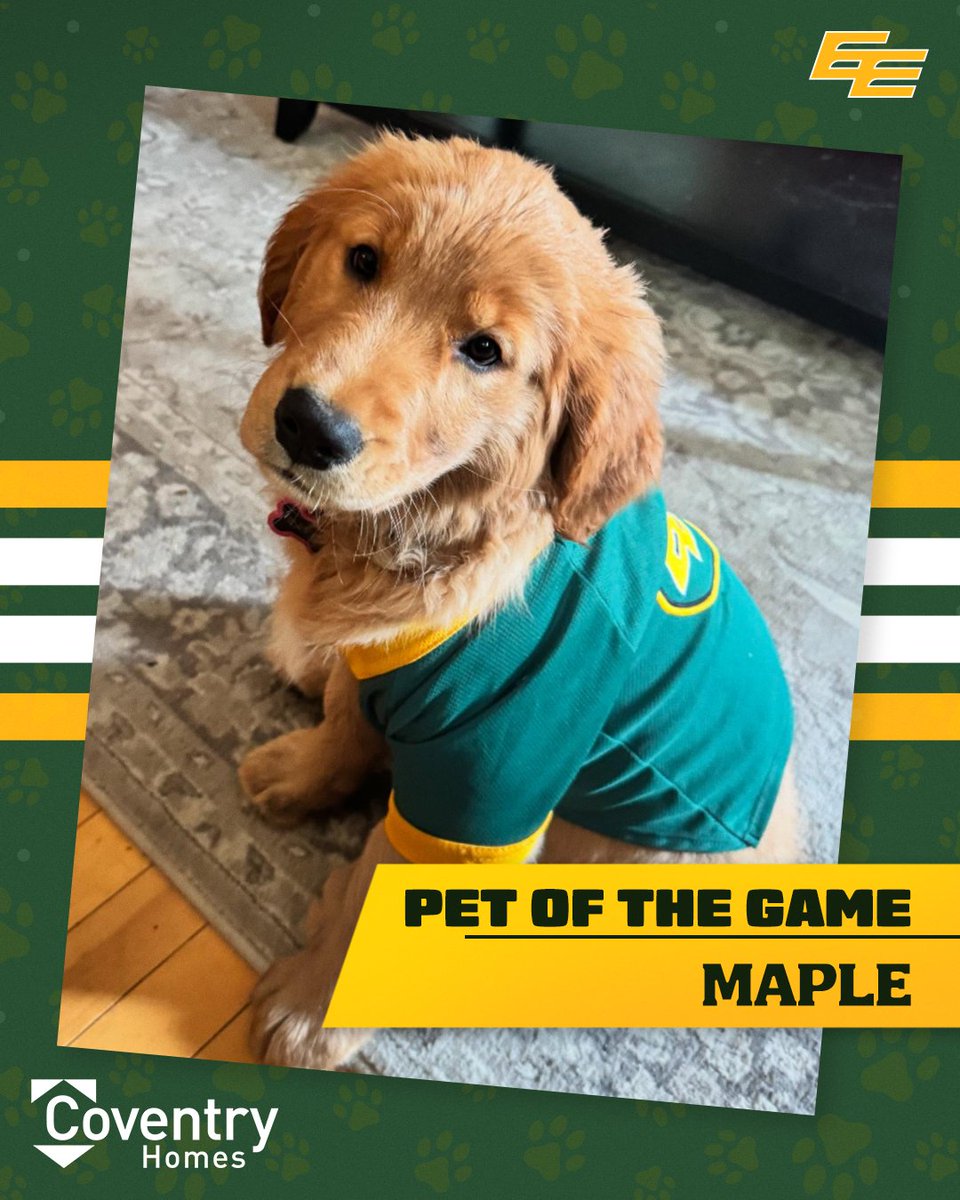 GoElks's tweet photo. From fetch to fame 🐾

Meet Maple! Our most recent Pet of the Game. Post a photo of your pet rockin' Green and Gold using #EEPets for a chance to be the next Pet of the Game + win an EE prize pack at our next game on July 6!

#GoElks x @CoventryHomes https://t.co/fSBfZo9Nzo