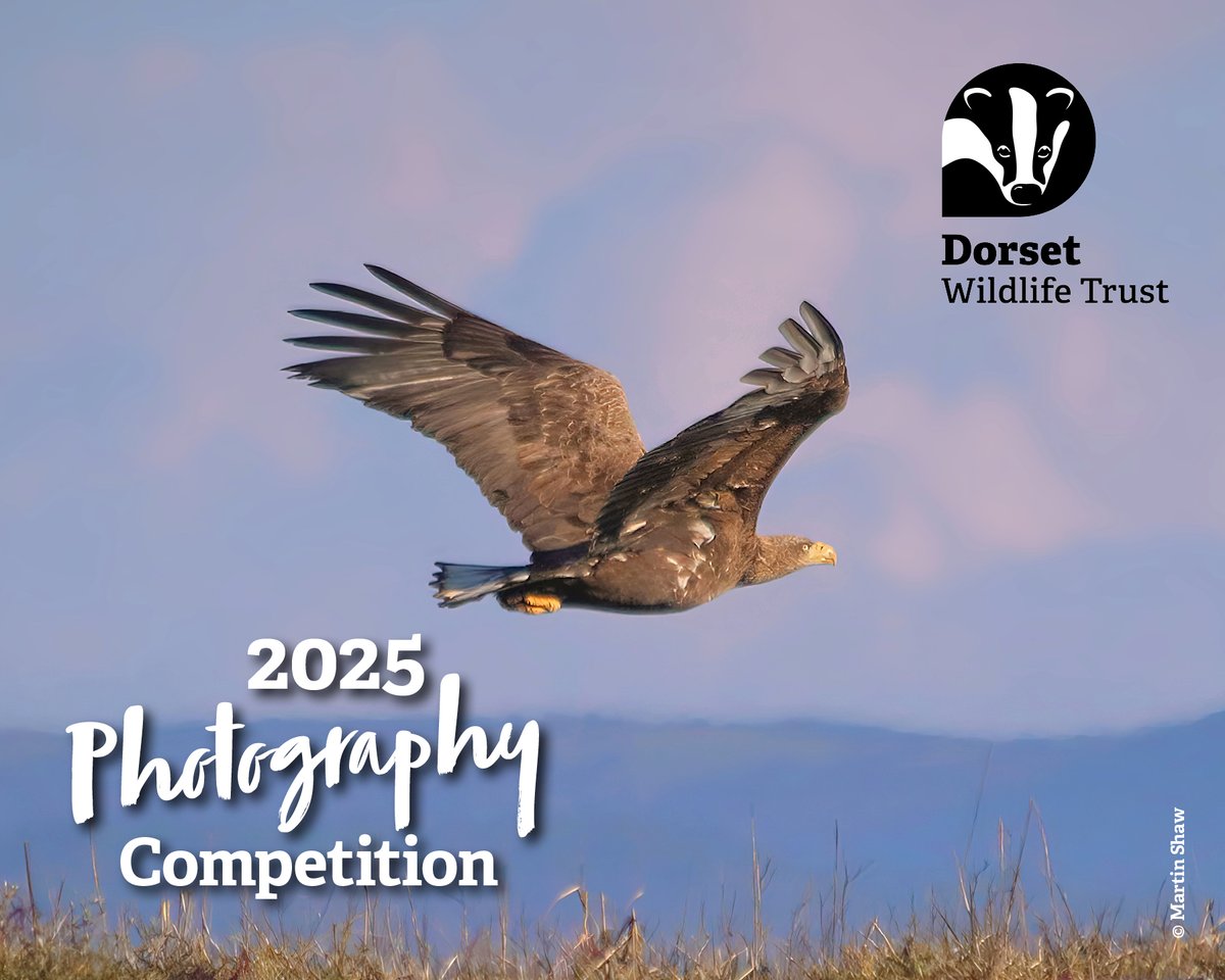 Good news for wildlife photography enthusiasts! 🗣️

We are extending the closing date of the 2025 photography competition until midnight on Monday 7 July. 🙌 

For full competition details and to enter, follow the link 👉 bit.ly/3GqsxNq ~ Jack