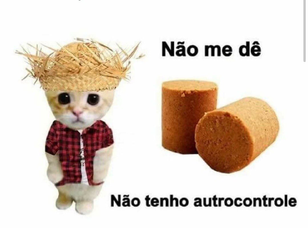 senshi_real's tweet photo. amo paçoquinha https://t.co/RSoHP05QjN