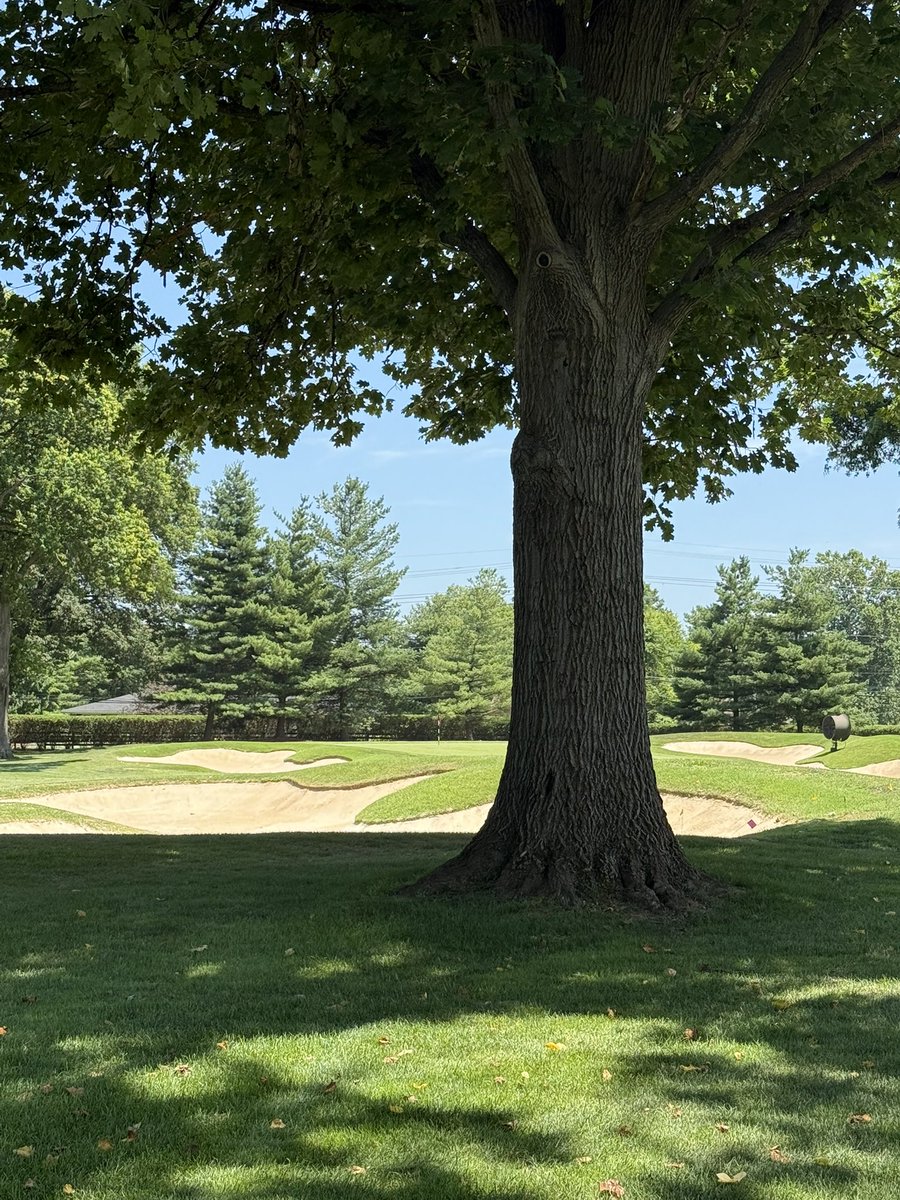 Canon Claycomb tweet media