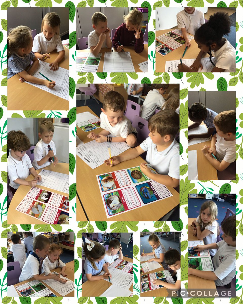 NormanPannellY1's tweet photo. In Science Year 1 have been learning about animals diets. Yesterday they worked in partners, using fact files to sort animals into Carnivores, Herbivores or Omnivores π¦ ππ
#NPPSScience https://t.co/54pkC71UuD