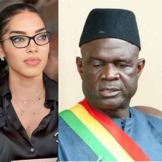 Ivoirowsky's tweet photo. La malienne #Zeinab Evelyne à propos de l'arrestation de son compatriote Malien Mamadou #GASSAMA en Cotedivoire.
" Si un étranger insulte notre président puis se rend au Mali ,forcément il sera arrêté et c’est normal.
C’est exactement la même chose chez les autres.
Alors, faites preuve de diplomatie dans vos discours, ou restez chez vous !..."
