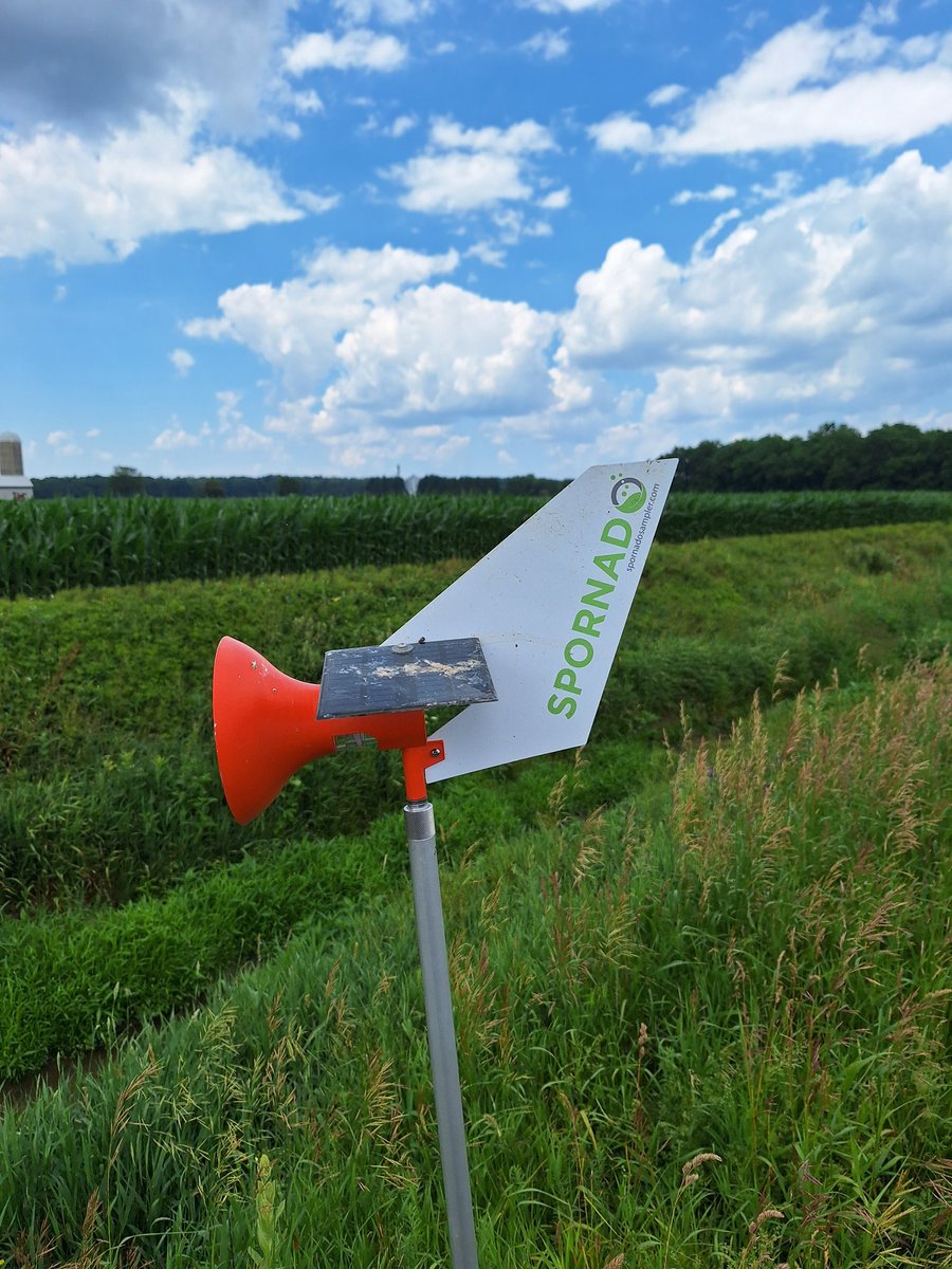 SCSAgronomy's tweet image. #agrisagronomy relocating Spornado trap away from birds who like to do their business on top of solar panels. Panels drive a fan that draws air into the cassette. We change weekly and the Lab does a DNA scan of collected spores. So far high NCLB relatively lower Tar Spot count