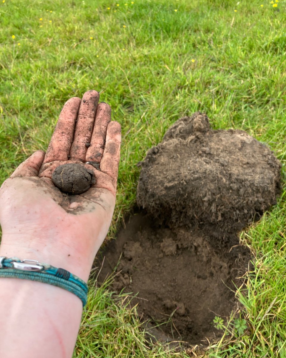 RiverCalder's tweet image. Our Farm Advice Team are out testing soil for aeration potential - aiming to boost flood & drought resilience. Using tools like moisture meters & compaction tests, they can offer tailored land management advice.
Want to know more? Email: farmadvice@calderandcolneriverstrust.org