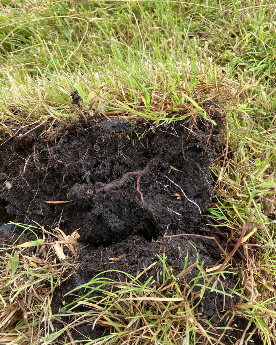 RiverCalder's tweet image. Our Farm Advice Team are out testing soil for aeration potential - aiming to boost flood & drought resilience. Using tools like moisture meters & compaction tests, they can offer tailored land management advice.
Want to know more? Email: farmadvice@calderandcolneriverstrust.org