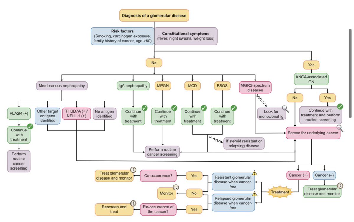 Malignancies and glomerulonephritis:

▫️Occult malignancies generally manifest within 1 year of initial GN diagnosis

▫️THSD7A and NELL-1 antibodies are detectable in ∼20%–30% of cases of malignancy-related MN

▫️Paraneoplastic GNs can be associated with all glomerular lesions