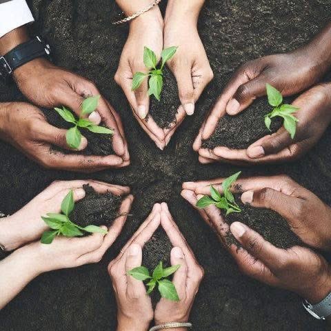 United for a greener Ethiopia! #GreenLegacy reduces erosion, enhances food security, and shapes tomorrow. #ClimateDiplomacy #Ethiopia #GreenLegacy