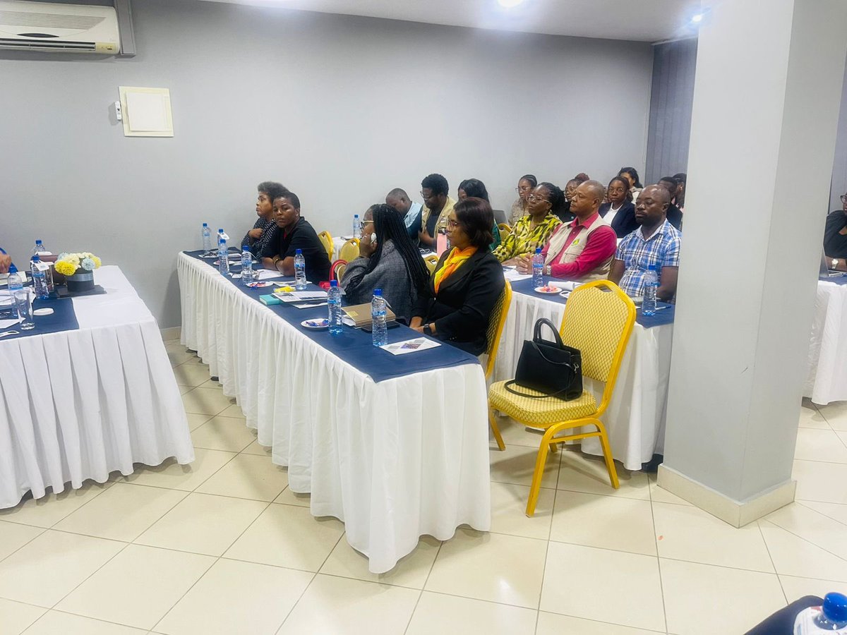 FSD Mocambique tweet media