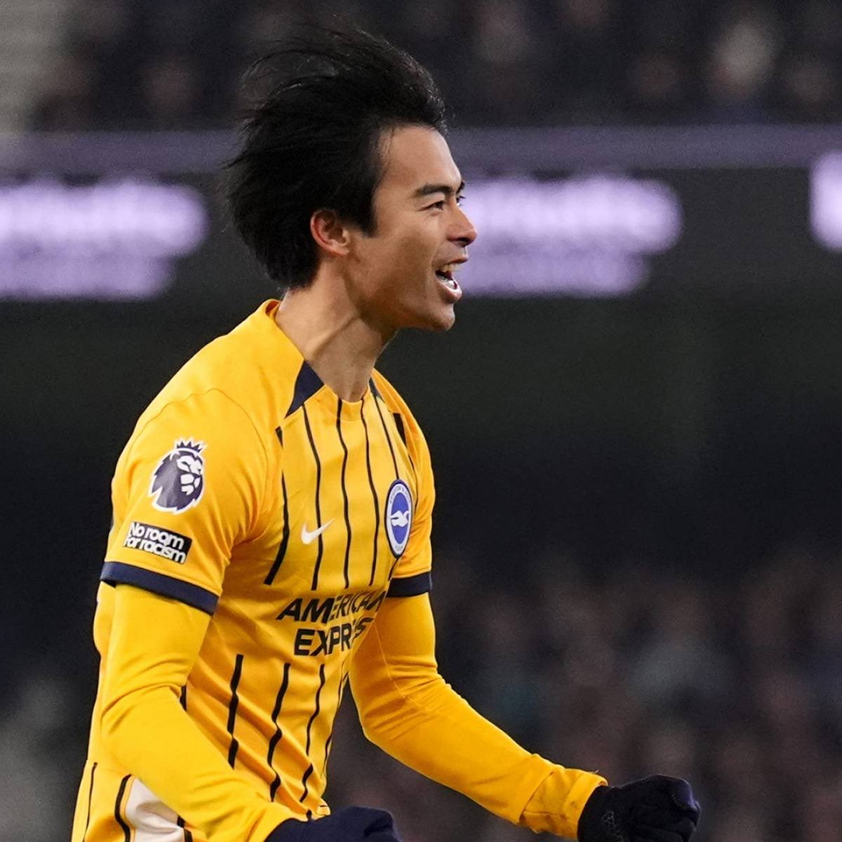 Brighton Bubble tweet media