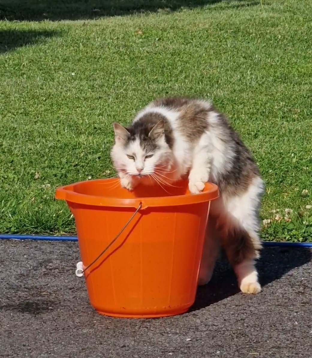 Thirsty weather!!!