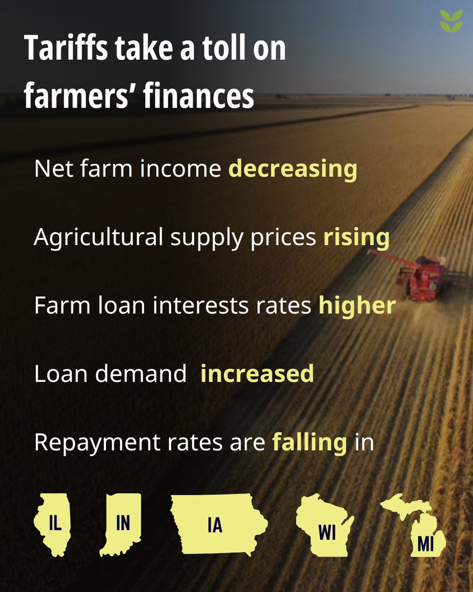 Tariffs are driving up fertilizer and diesel costs and driving down income. Across the Midwest, farmers are facing lower profits, rising loan demand, and falling repayment rates.

View Mónica Cordero charts in full here:  
investigatemidwest.org/2025/07/02/the…

#Tariffs #AgPolicy #Farmers