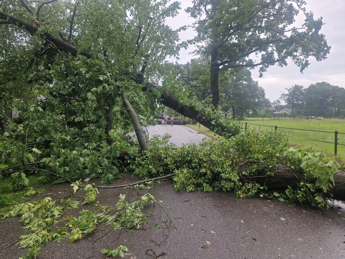 BjT_weer's tweet photo. Er is flinke #stormschade ontstaan waarschijnlijk door een #valwind vanmiddag in #Winterswijk #Gelderland #noodweer
Foto's zijn van @Marjolein1402 https://t.co/g5Bvv4vbmg