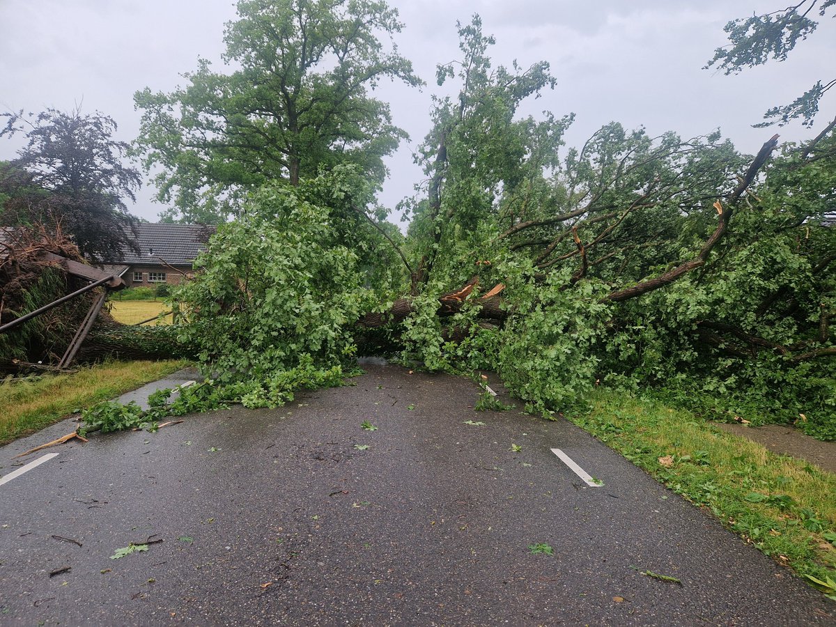 BjT_weer's tweet photo. Er is flinke #stormschade ontstaan waarschijnlijk door een #valwind vanmiddag in #Winterswijk #Gelderland #noodweer
Foto's zijn van @Marjolein1402 https://t.co/g5Bvv4vbmg
