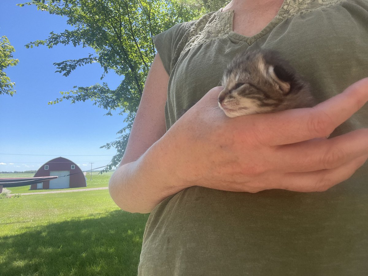 I’ve learned not to wait for my house to be clean to have people over, and not wait until my hair and makeup is done for my kids to snap pictures of me. 

The kittens opened their eyes now. We don’t hold them long, so mama cat doesn’t get too nervous.