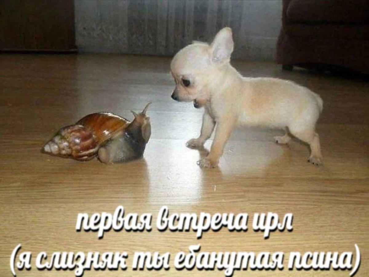 sunfmslf's tweet photo. как-то так вышло что я начала отношения на расстоянии со своей первой школьной любовью, последний раз мы виделись ирл 5 лет назад, и он возвращается в город на этой неделе и я жутко волнуюсь мне нужны советы + мнения https://t.co/KrKARqL7i8